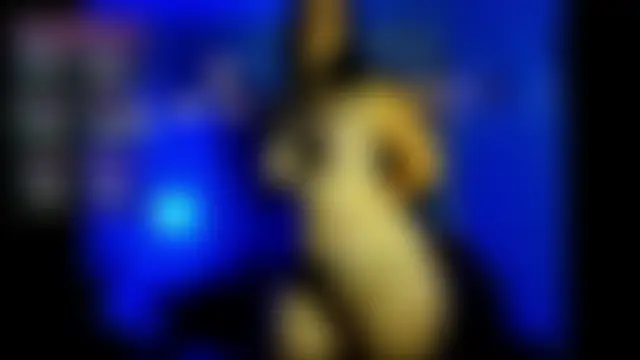 bruisedblossoms' Webcam Show