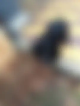 Divinna's Live Sex Cam Show