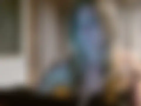 missymilf's Webcam Show