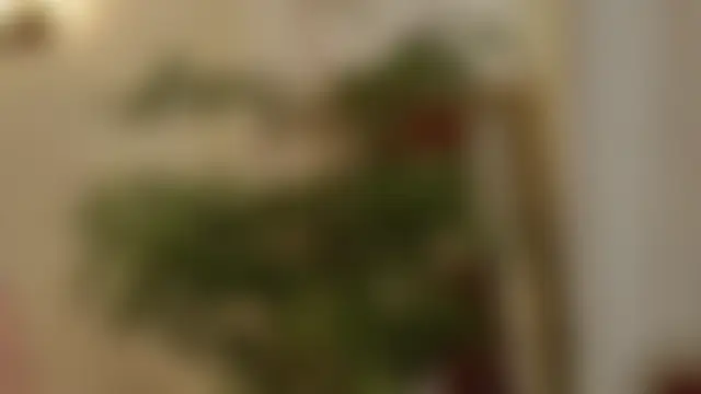 MollyXoXo's Live Sex Cam Show