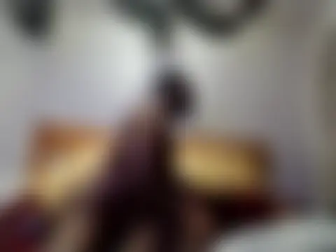 Tramontas' Webcam Show