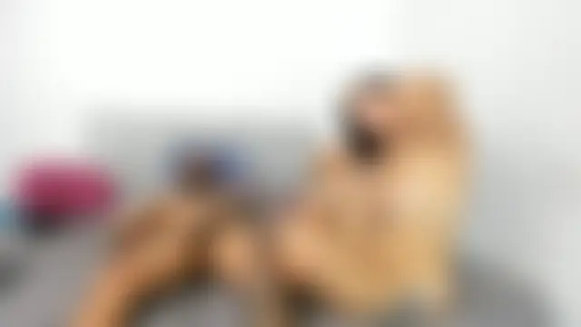 SEXXYLATINCOUPLE1's Webcam Show