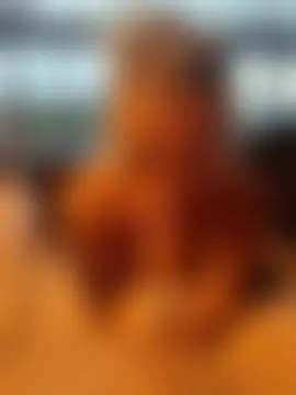 MissLMrJ's Webcam Show