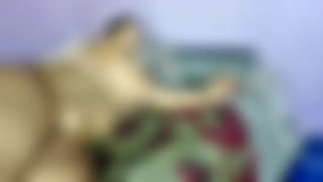 wilmaassylum's Webcam Show