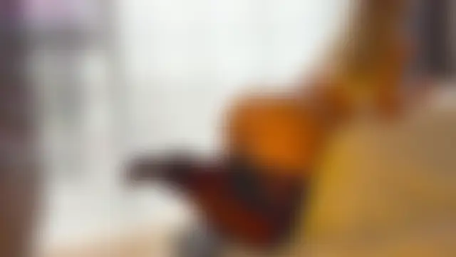 NaughtyStyle's Live Sex Cam Show