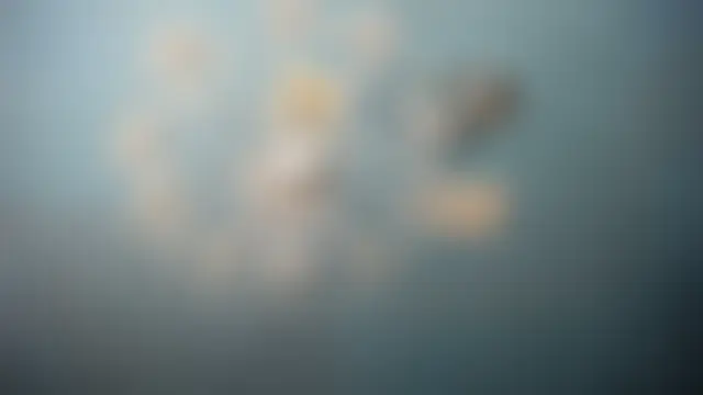 ADRIANNA_FOX's Live Sex Cam Show