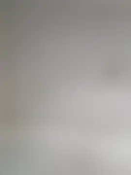 Lupercinio's Webcam Show