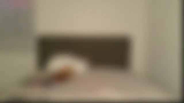 misscatxo's Live Sex Cam Show