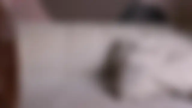 BestModelsDuo's Webcam Show