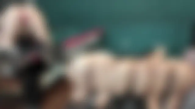 theorder-ofladys' Webcam Show