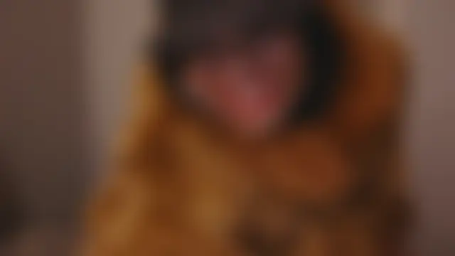 MSweetLindaParks' Webcam Show