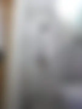 erbod_Johnny Videochat live