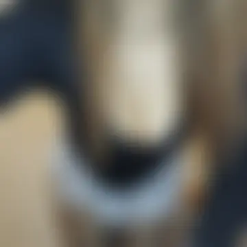 XsteLLaX's Live Sex Cam Show