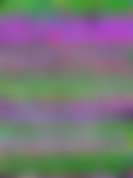 Exotic_girl666's Live Sex Cam Show