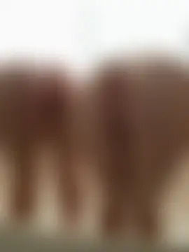 Nura_n_Sarah's Webcam Show