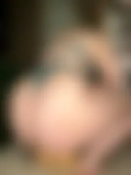 GingerSnap33's Webcam Show