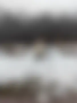 Vivi_Flame's Live Sex Cam Show