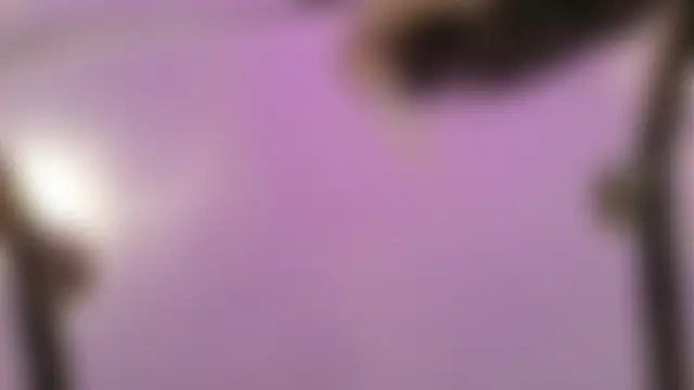 Midnightrose11's Webcam Show