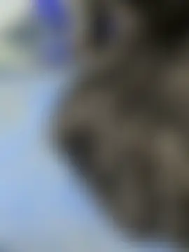 United3's Webcam Show