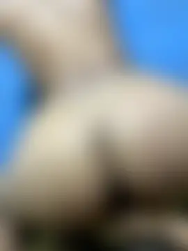 United3's Live Sex Cam Show