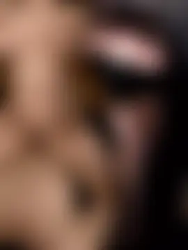 irohani_usagi's Webcam Show