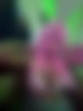 sexpinkk's Webcam Show