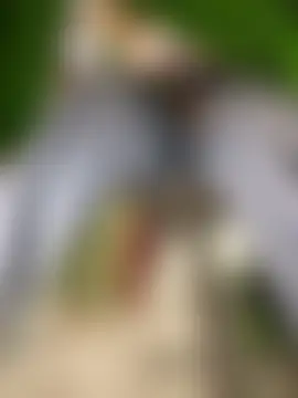 Miia_Jazmin's Webcam Show