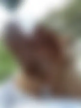 _kimberlly's Webcam Show