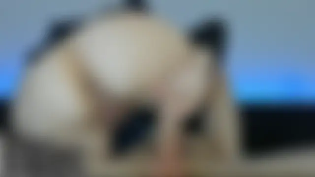 FreakyFunkyNasty's Webcam Show