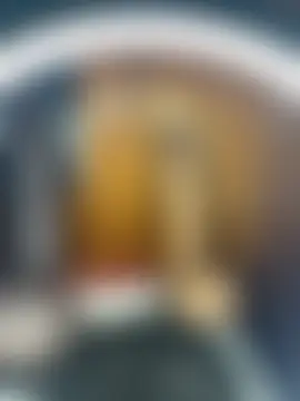 Blazerina's Webcam Show