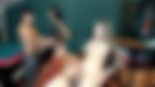 theorder-ofladys' Webcam Show