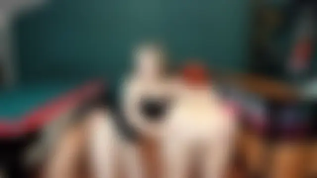 theorder-ofladys' Live Sex Cam Show