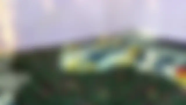 wilmaassylum's Webcam Show