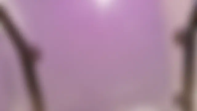 Midnightrose11's Webcam Show