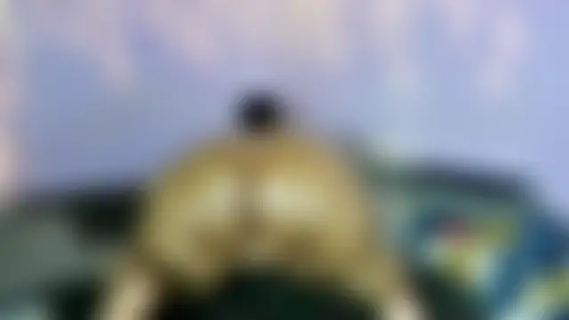 wilmaassylum's Webcam Show