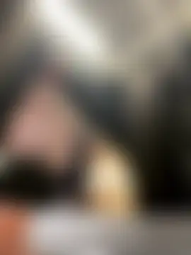 South_Carolina's Webcam Show