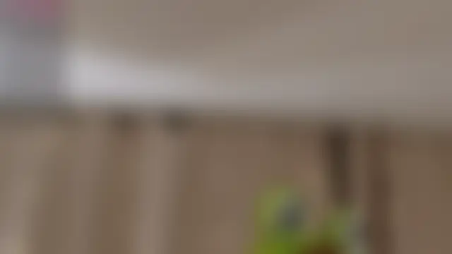 AdritVance's Webcam Show