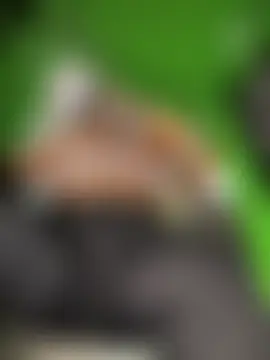 Miia_Jazmin's Webcam Show