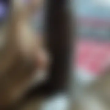 desi_pb02's Webcam Show