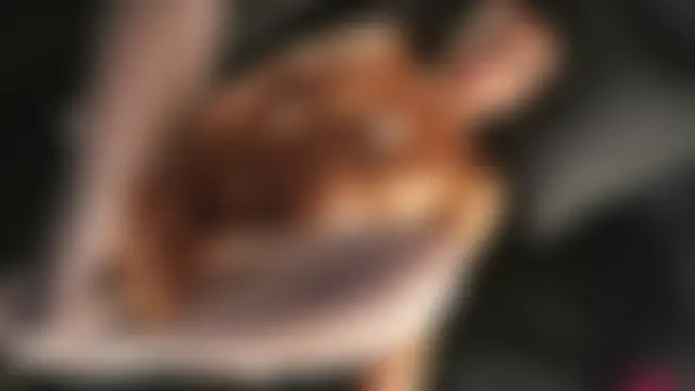 Dakota_Blare's Webcam Show