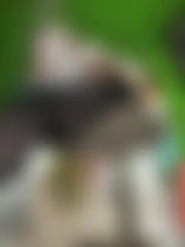 Miia_Jazmin's Webcam Show