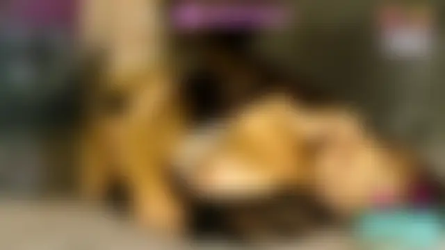 ChantillyBonbon's Live Sex Cam Show