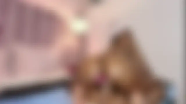 HallyBans' Webcam Show