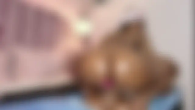 HallyBans' Webcam Show