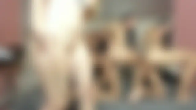 thegirls_girls' Webcam Show