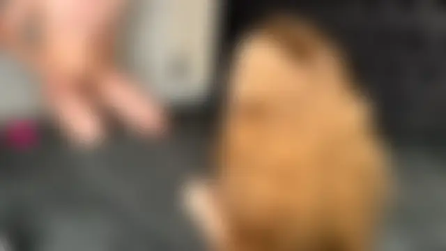 Lovely_Bunnyhot's Live Sex Cam Show