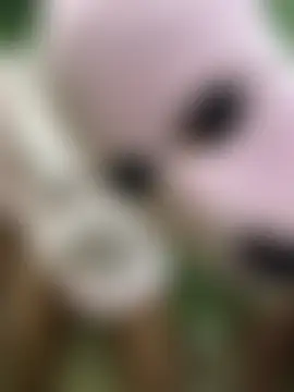 couplesexroom's Webcam Show