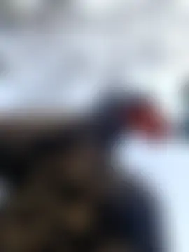 holygrail001's Webcam Show