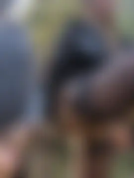 DarkDea's Webcam Show