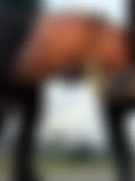 fit_vic's Live Sex Cam Show